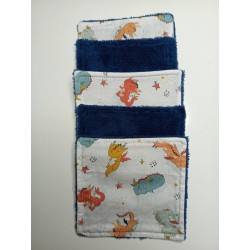 Lingettes DRAGON lot de 5
